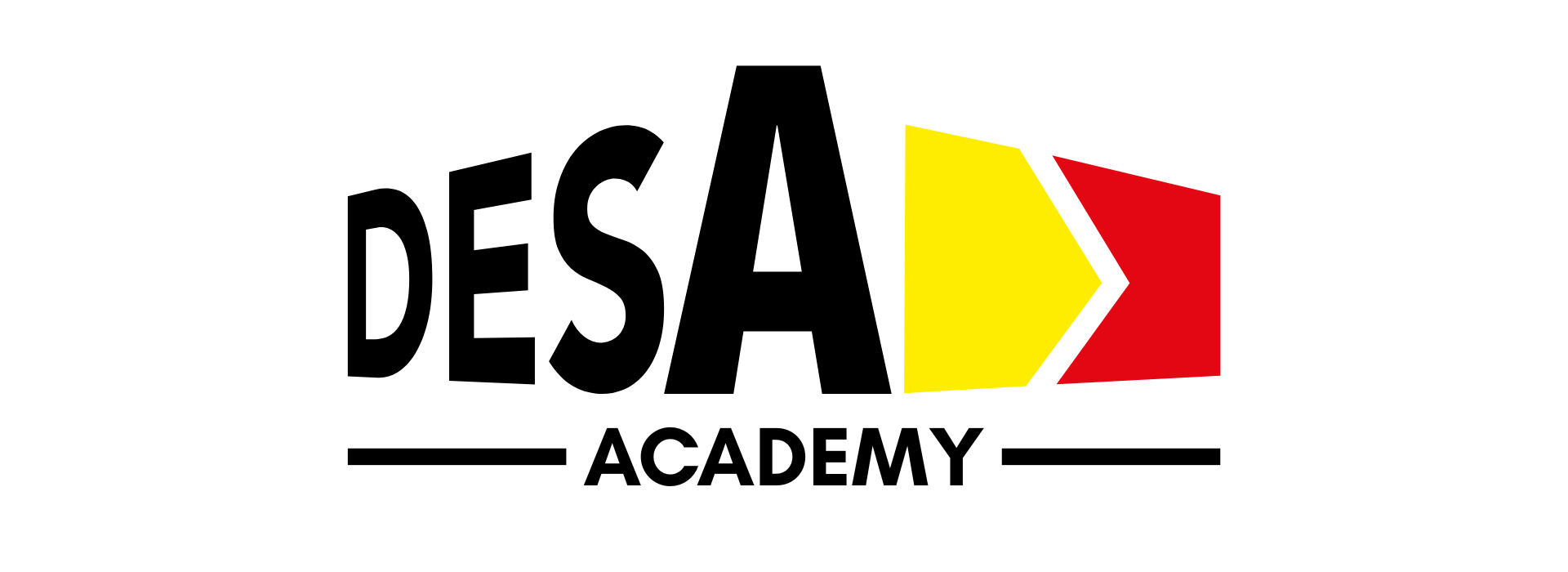 DESA Academy